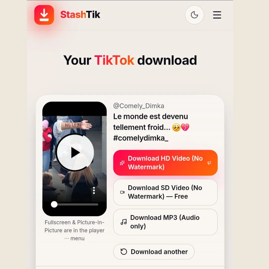 StashTik result page with the HD download button