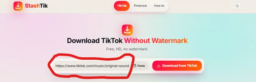StashTik TikTok downloader ready to accept a slideshow link