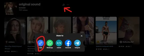 TikTok music page with the share arrow highlighted to copy the audio link